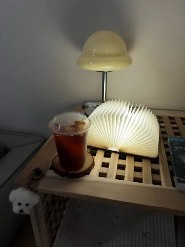 LED Wooden Book Lamp photo review