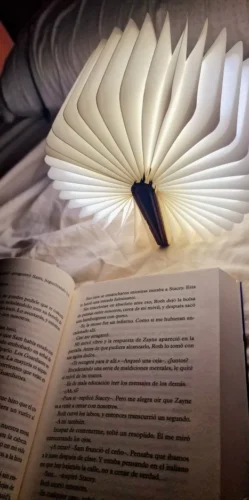 LED Wooden Book Lamp photo review