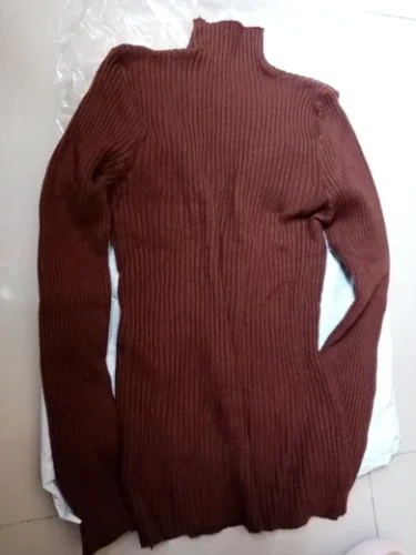 Elegant Solid Basic Knitted Tops Women Turtlneck Sweater Long Sleeve Casual Slim Pullover Korean Fashion Simple Chic Clothes photo review