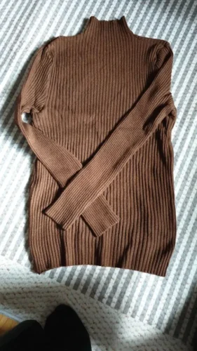 Elegant Solid Basic Knitted Tops Women Turtlneck Sweater Long Sleeve Casual Slim Pullover Korean Fashion Simple Chic Clothes photo review
