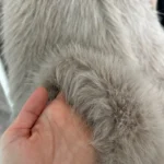 TRAFZA Women Fashion Cropped Faux Fur Jacket Coat Long Sleeve Front Snap-button Female Outerwear Chic Lapel Collar Thick Coat photo review