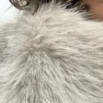 TRAFZA Women Fashion Cropped Faux Fur Jacket Coat Long Sleeve Front Snap-button Female Outerwear Chic Lapel Collar Thick Coat photo review