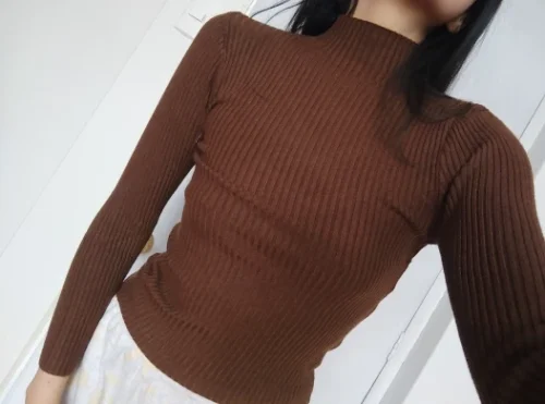 Elegant Solid Basic Knitted Tops Women Turtlneck Sweater Long Sleeve Casual Slim Pullover Korean Fashion Simple Chic Clothes photo review