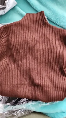Elegant Solid Basic Knitted Tops Women Turtlneck Sweater Long Sleeve Casual Slim Pullover Korean Fashion Simple Chic Clothes photo review
