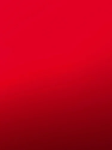 Elegant Solid Basic Knitted Tops Women Turtlneck Sweater Long Sleeve Casual Slim Pullover Korean Fashion Simple Chic Clothes photo review