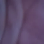 Weird Puss Sheath Backless Women Dress Full Sleeve Sexy Solid Autumn Fashion Slim Bag Hip Bodycon Ladies Eveing Party Prom Robe photo review