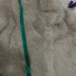 TRAFZA Women Fashion Cropped Faux Fur Jacket Coat Long Sleeve Front Snap-button Female Outerwear Chic Lapel Collar Thick Coat photo review