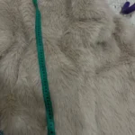 TRAFZA Women Fashion Cropped Faux Fur Jacket Coat Long Sleeve Front Snap-button Female Outerwear Chic Lapel Collar Thick Coat photo review