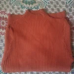 Elegant Solid Basic Knitted Tops Women Turtlneck Sweater Long Sleeve Casual Slim Pullover Korean Fashion Simple Chic Clothes photo review